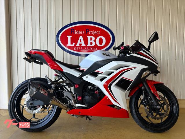 カワサキ Ninja 250 ETC ヨシムラフルエキ フェンダーレス