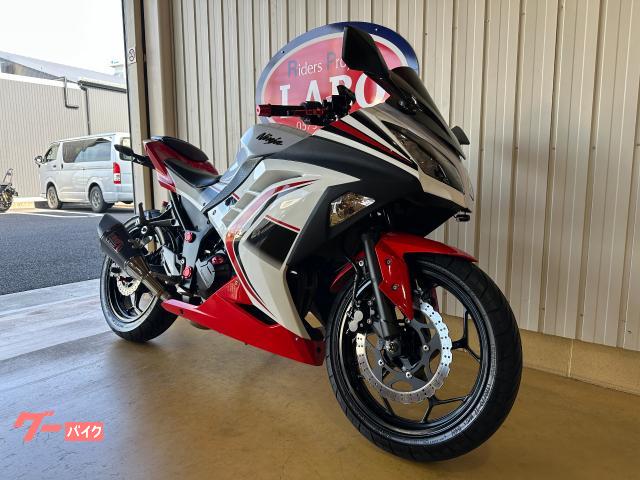 カワサキ Ninja 250 ETC ヨシムラフルエキ フェンダーレス
