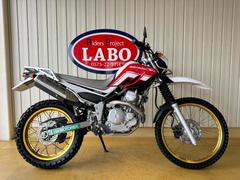 ヤマハ　セロー２５０　ＦＩ　ＤＧ１７Ｊ　２００８年モデル　純正リアキャリア