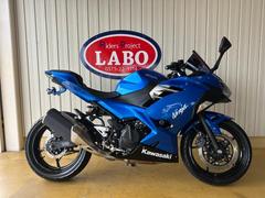 カワサキ　Ｎｉｎｊａ　２５０　ＵＳＢ　フェンダーレス　エンジンスライダー　バーエンド　スクリーン