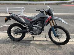 ホンダ　ＣＲＦ２５０Ｌ　２０２５年モデル
