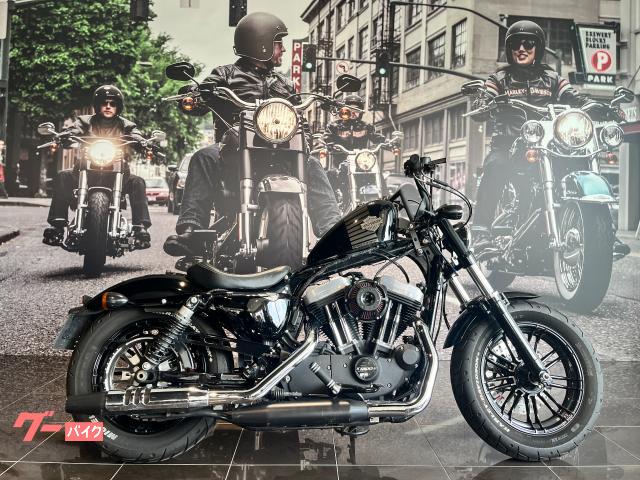 ＸＬ１２００Ｘ　フォーティエイト　パフォーパンスマシンエアクリーナー　ＰＲＯ　ＲＡＣＥプラグコード　ロボットハンドル　タンクアップ