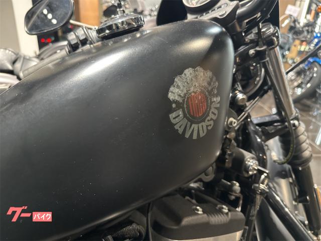 HARLEY－DAVIDSON XL883N アイアン エンジン