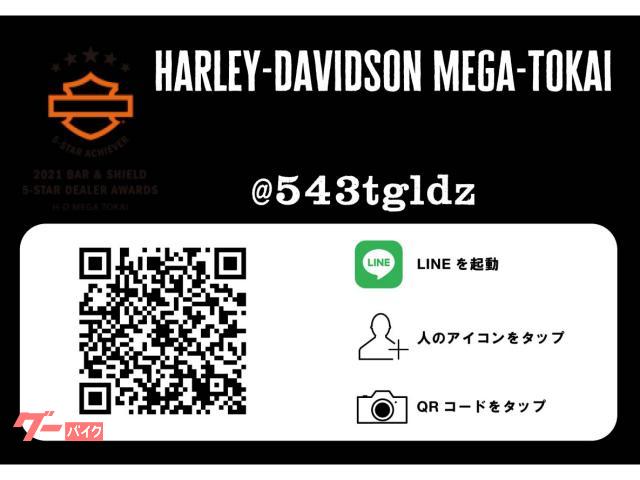 HARLEY－DAVIDSON FXDLS ローライダーS 最終年式