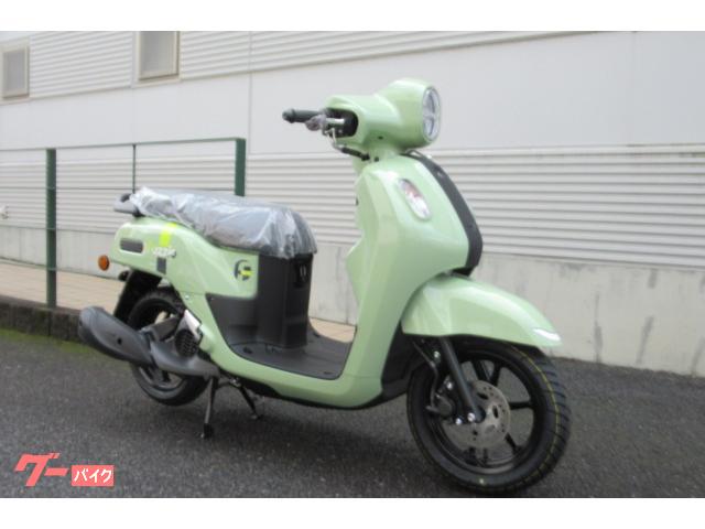 ファツィオ　ニューモデル　リーフグリーン