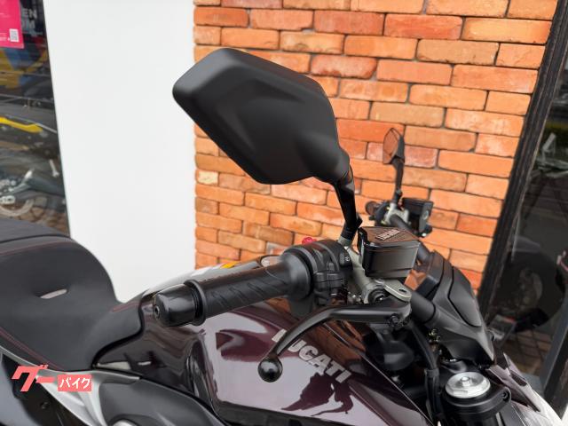DUCATI X V4 — миниатюра 6