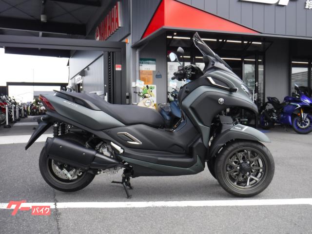トリシティ３００