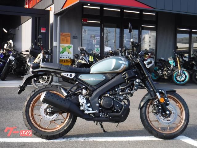 ＸＳＲ１５５