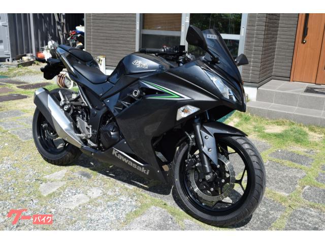 Ｎｉｎｊａ　２５０　２０１６年