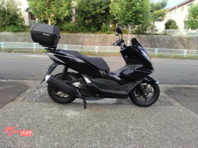 ＰＣＸ　２０２４年モデル