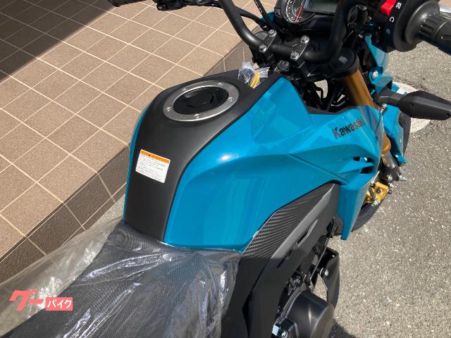 車両情報 カワサキ Z125 川島モータース 元浜店 中古バイク 新車バイク探しはバイクブロス
