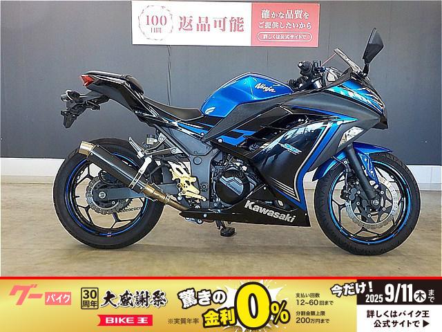 Ｎｉｎｊａ　２５０　ヒートマジックマフラー　バックレスト　２０１５年モデル