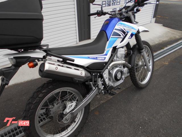 ヤマハ セロー250 3型 2019年 DG31J｜BUSH｜新車