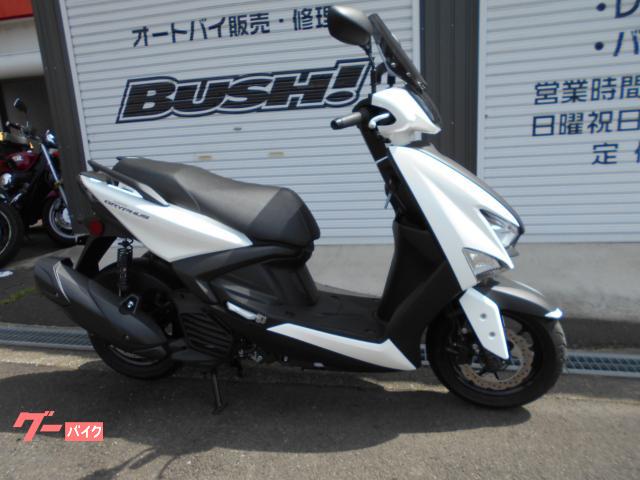 シグナス　グリファス