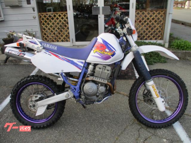 ＴＴ２５０Ｒ　　レイドタンク・シート