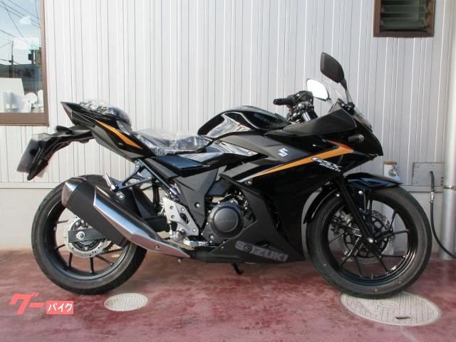 ＧＳＸ２５０Ｒ