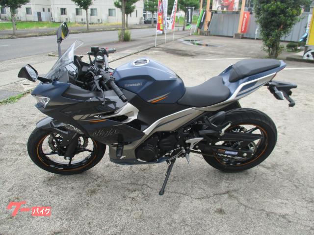 Ｎｉｎｊａ　２５０／ＥＴＣ／エンジンスライダー／ＣＲ−１施工／マルチバーホルダー