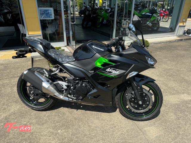 Ｎｉｎｊａ　２５０