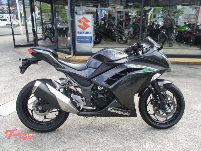 Ｎｉｎｊａ　２５０