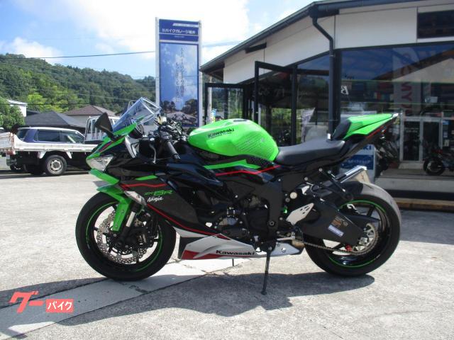 Ｎｉｎｊａ　ＺＸ−６Ｒ／フェンダーレス／Ｒウインカー／コアガード／エンジンガード／Ｆアクスルガード／ＣＲ−１