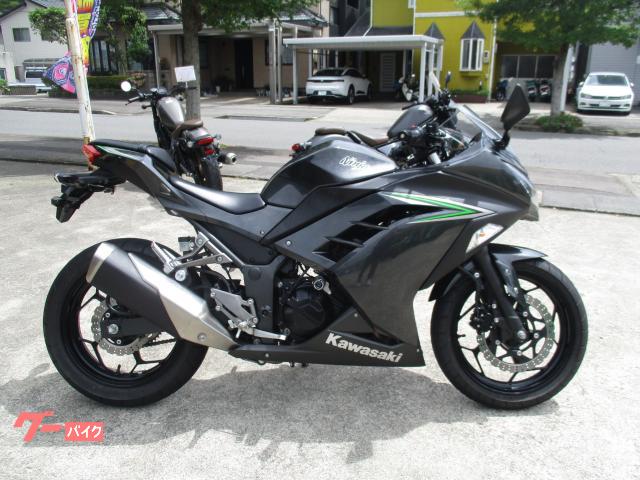 Ｎｉｎｊａ　２５０