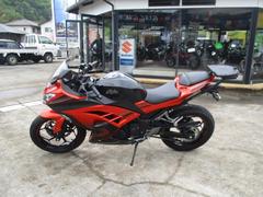 カワサキ　Ｎｉｎｊａ　２５０　ＳＥ／ＥＴＣ　／フレームスライダー／　リアキャリア
