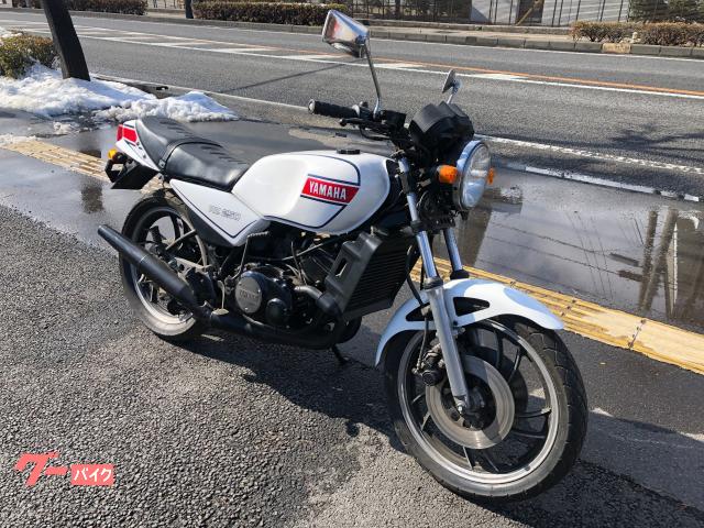 ヤマハ ＲＺ２５０ ダブルディスク ２ストローク｜Ｌｅｖｏｌａｎｔ ルボラン｜新車・中古バイクなら【グーバイク】