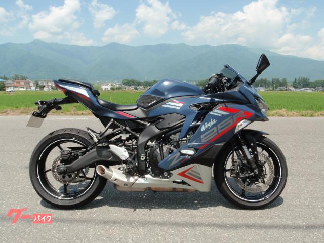 Ｎｉｎｊａ　ＺＸ−２５Ｒ　ＳＥ　クイックシフター装着車　ワンオーナー車