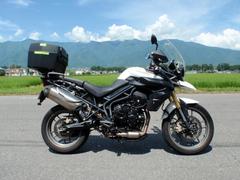 ＴＲＩＵＭＰＨ　タイガー８００