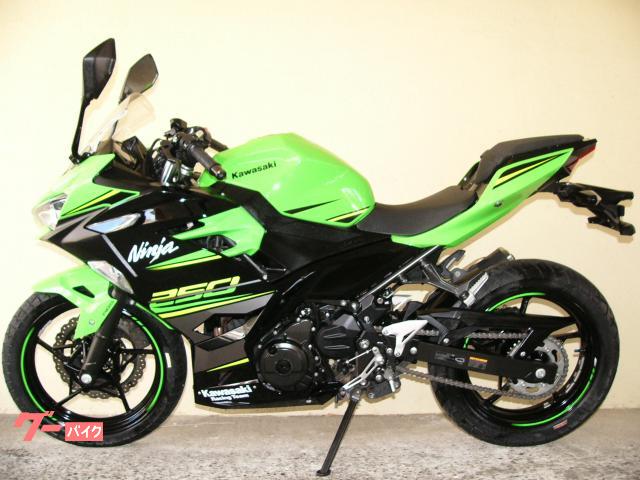 バイク kawasaki Ninja250 ex250p カワサキ ニンジャ 250 2020年式 2BK-EX250Pの諸元・スペック情報