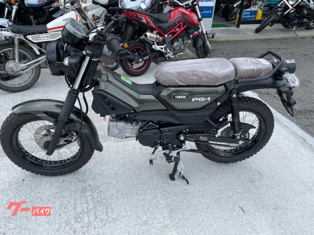 ＰＧ−１