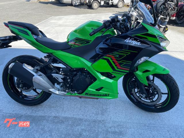 Ｎｉｎｊａ　２５０