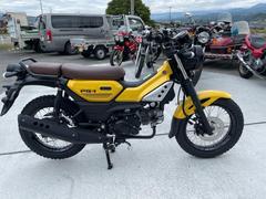 ヤマハ　ＰＧ−１