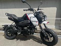 ＣＦ　ＭＯＴＯ　パピオ　ＸＯ−２　ＴＲＡＩＬ