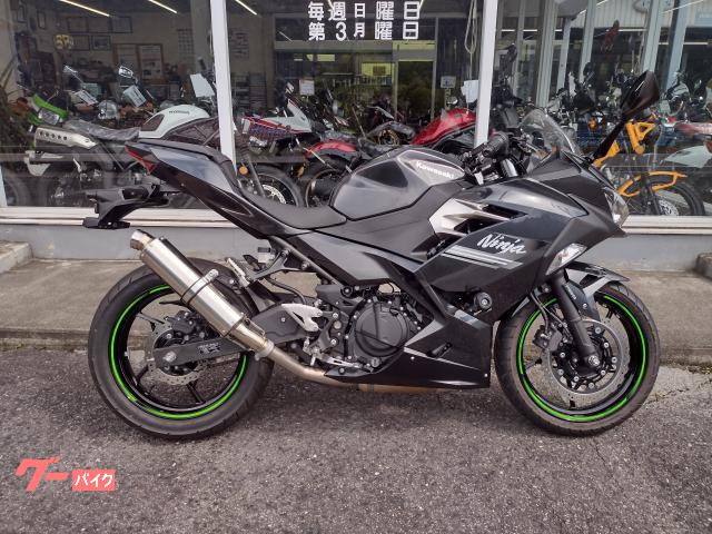 Ｎｉｎｊａ　２５０　ＡＢＳ