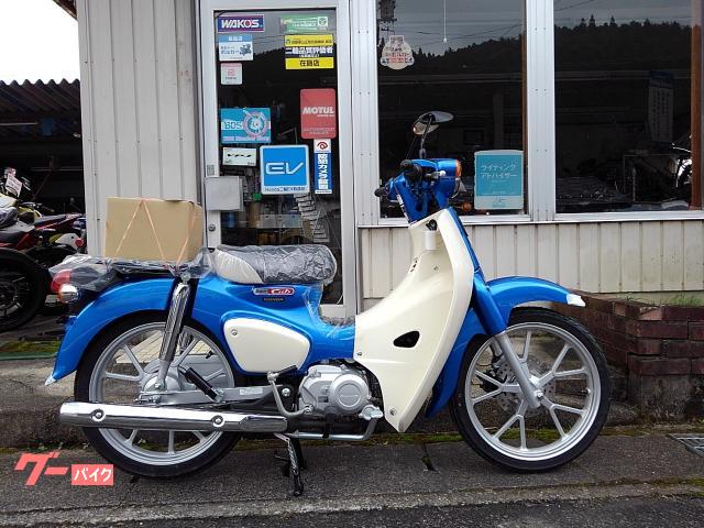 スーパーカブ１１０　グリントウェーブブルーメタリック