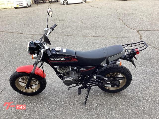 ホンダ Ape100 タイプD HC13 ワンオーナー ローフェンダー