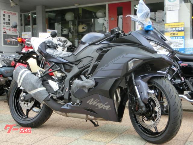 Ｎｉｎｊａ　ＺＸ−２５Ｒ　ＳＥ　　最新２０２５年モデル