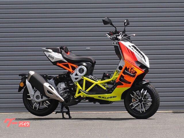 ドラッグスター３００　マロッシ