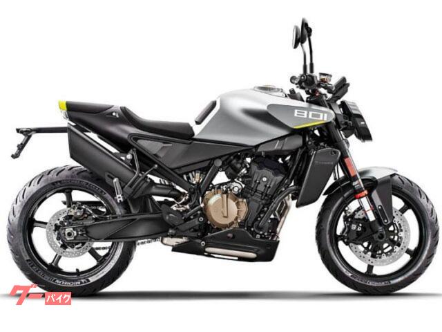 ヴィットピレン８０１