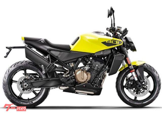 ヴィットピレン８０１