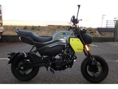 ＣＦ　ＭＯＴＯ　パピオ　ＸＯ−２