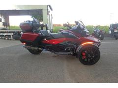 ＢＲＰ　ｃａｎ−ａｍ　ＳＰＹＤＥＲ　ＲＴ　ＬＩＭＩＴＥＤ