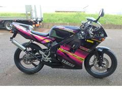 ヤマハ　ＴＺＲ５０Ｒ　フルノーマル　セル付　２サイクル