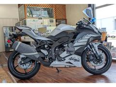 カワサキ　Ｎｉｎｊａ　ＺＸ−４Ｒ　ＳＥ