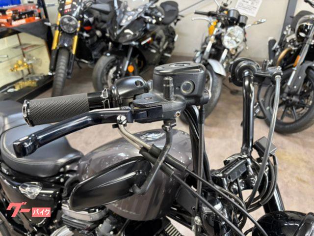 Harley-Davidson バイクタンク 黒塗装　きれい即使用可能 フォーティエイトカスタム‼️思い切ったタンク＆塗装が魅力