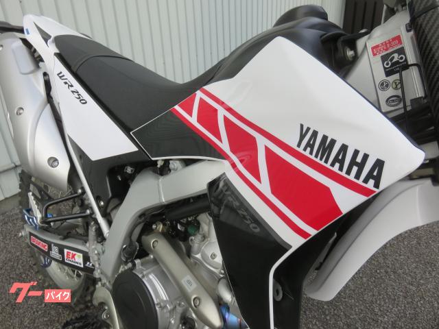 ヤマハ WR250R ワイズギア外装キット ZETAパーツ dB
