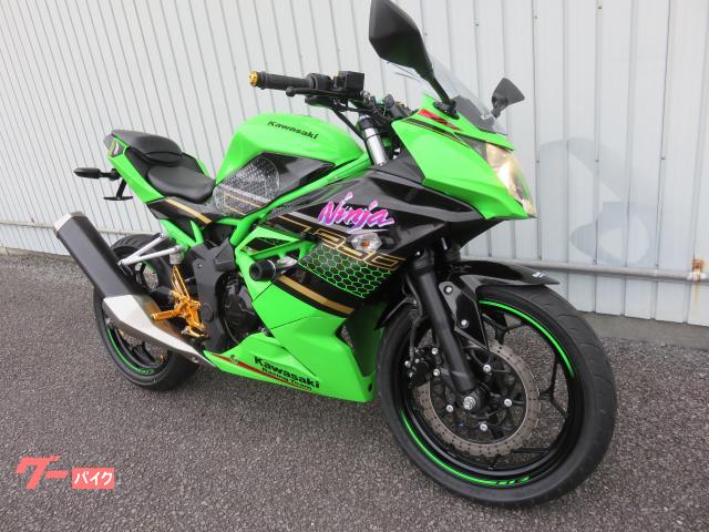 カワサキ Ninja 250SL インドネシア仕様 KRTエディション