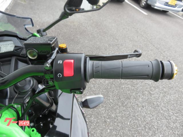 カワサキ Ninja 250SL インドネシア仕様 KRTエディション