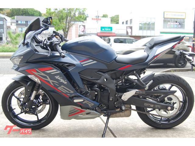 Ｎｉｎｊａ　ＺＸ−２５Ｒ　ＳＥ
